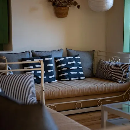 The * 카르다밀리